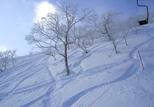 北海道パウダースノー