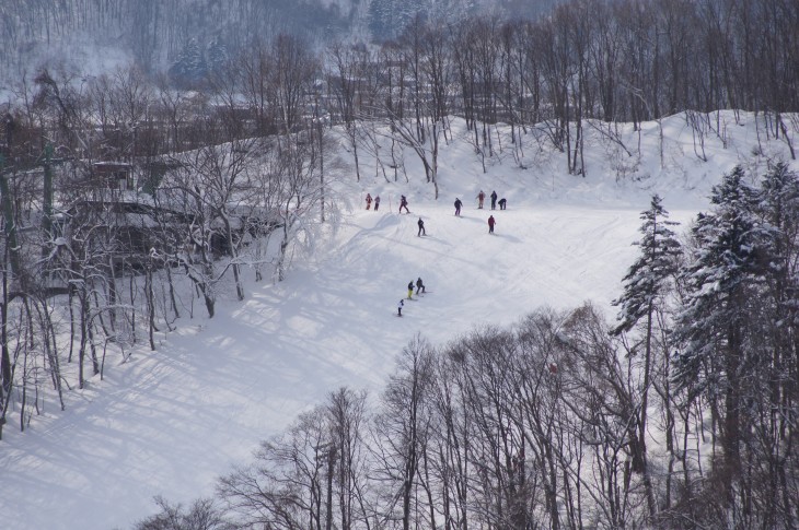 札幌藻岩山 雪面やわらか、スキー日和♪