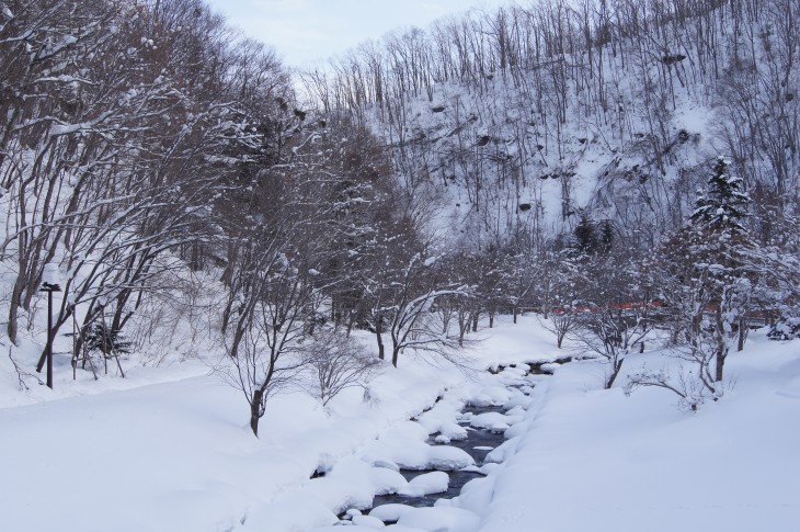 滝野すずらん丘陵公園 はじめての雪遊びに最適