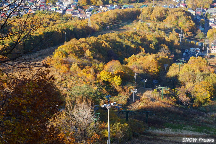 小樽天狗山 紅葉前線は、いよいよ山麓へ。