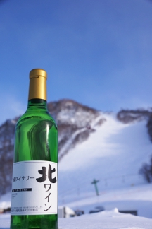 北海道中央葡萄酒 千歳ワイナリー