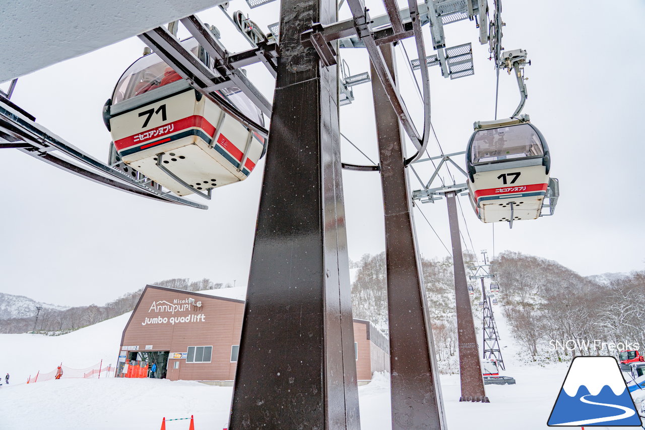 ニセコアンヌプリ国際・小樽天狗山スキー場　リフト・ゴンドラ・ロープウェイ利用券 1枚ニセコアンヌプリ、小樽天狗山スキー場リフト⁄ゴンドラ50%割引券1