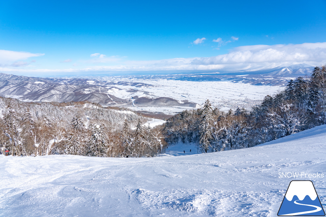 富良野 スキー 場