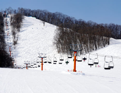 新得町・新得山スキー場 記録的な大雪でスキー場開設以来、最大積雪に到達?!