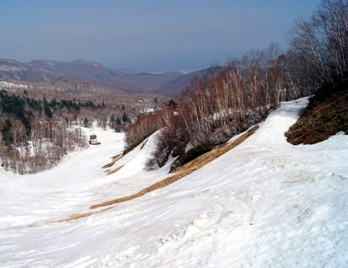 サッポロテイネ 現在積雪 215cm。山麓まで思いっきり滑れます！