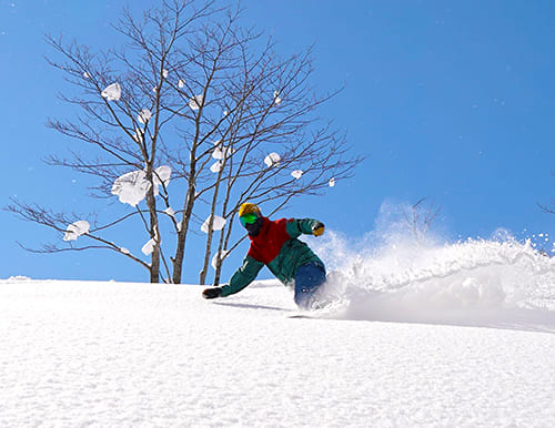 Local Powder Photo Session with my homie !! ～ ほろたちスキー場・ぴっぷスキー場