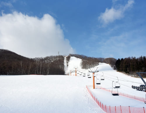 新得町・新得山スキー場　雪不足の今冬。待望のリフト営業開始！今後の降雪に期待しましょうo(^-^)o