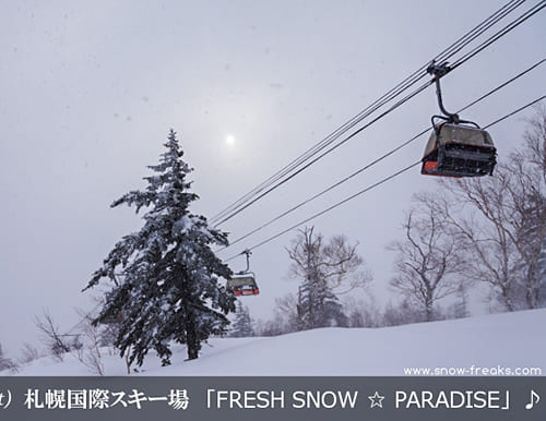 札幌国際スキー場 「FRESH SNOW PARADISE」
