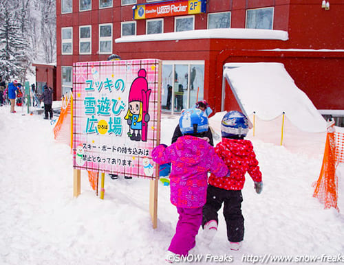 札幌国際スキー場 全コース、コンディションは粉雪です！