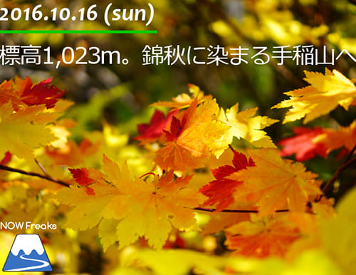 標高1,023m。錦秋に染まる手稲山へ。