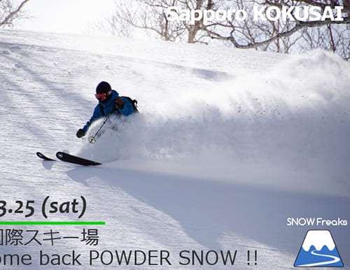 札幌国際スキー場 Welcome back POWDER SNOW !! ～パウダースノー復活～