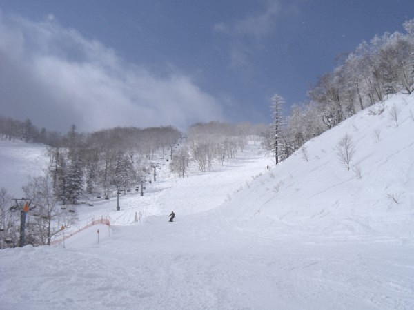 富良野スキー場ゲレンデレポート