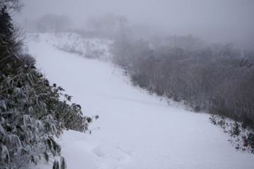 サッポロテイネハイランド本日オープン