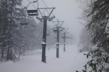 層雲峡黒岳 吹雪でも雪質は極上パウダー