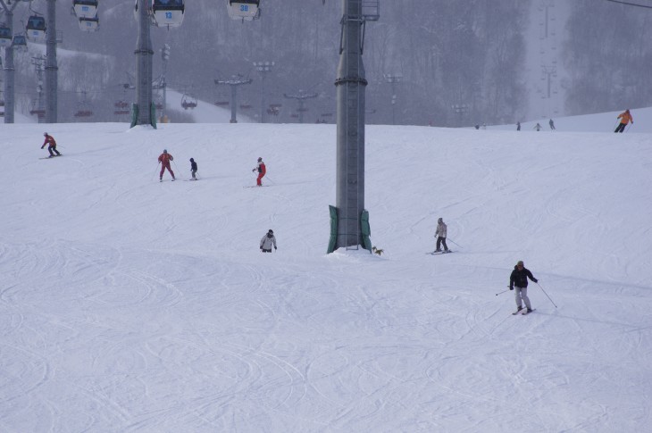 富良野 寒気到来で雪煙上がる高速バーン