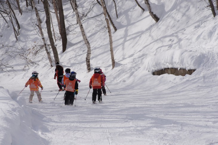 札幌藻岩山 雪面やわらか、スキー日和♪