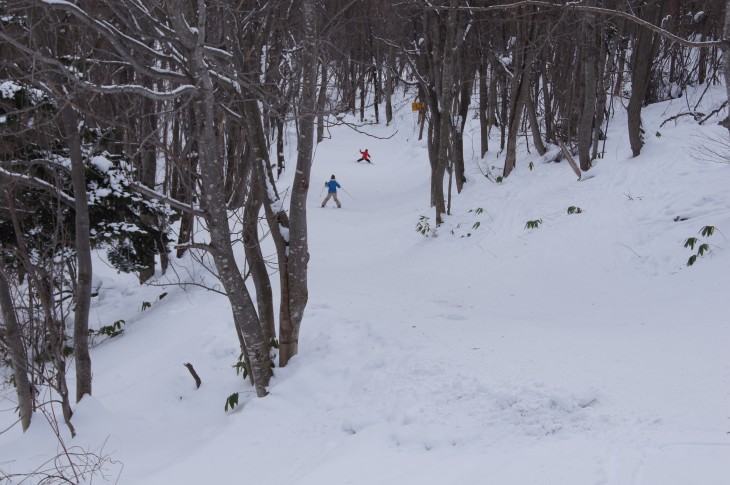 札幌藻岩山 街を見ながら、のんびりスキー