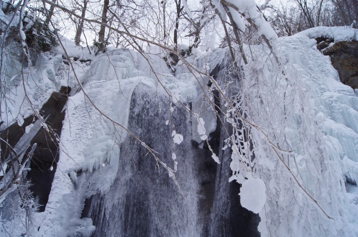 滝野すずらん丘陵公園 はじめての雪遊びに最適