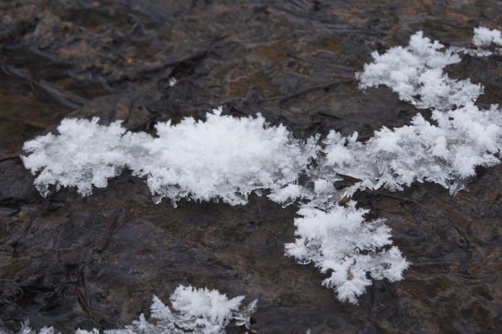 滝野すずらん丘陵公園 はじめての雪遊びに最適