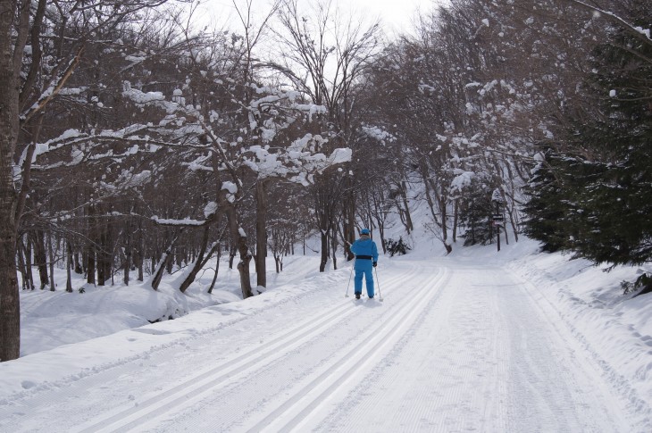 滝野すずらん丘陵公園 はじめての雪遊びに最適