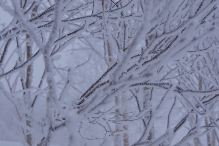 カムイスキーリンクス Funny Snowy Day