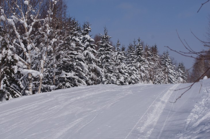 カムイスキーリンクス Soul Powder Ride in KAMUI