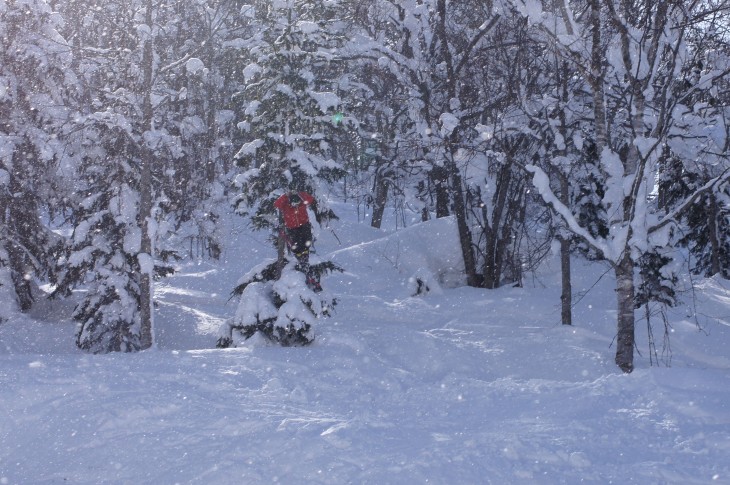 カムイスキーリンクス Soul Powder Ride in KAMUI