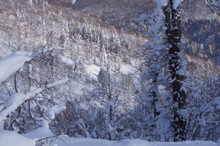 カムイスキーリンクス Soul Powder Ride in KAMUI