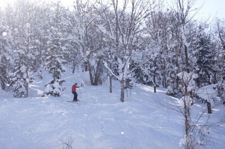 カムイスキーリンクス Soul Powder Ride in KAMUI