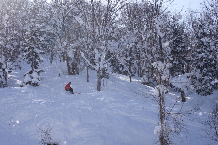 カムイスキーリンクス Soul Powder Ride in KAMUI