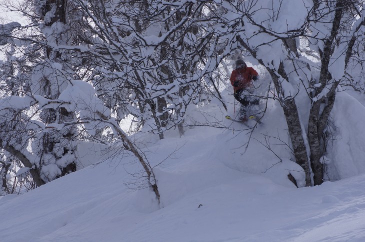 カムイスキーリンクス Soul Powder Ride in KAMUI