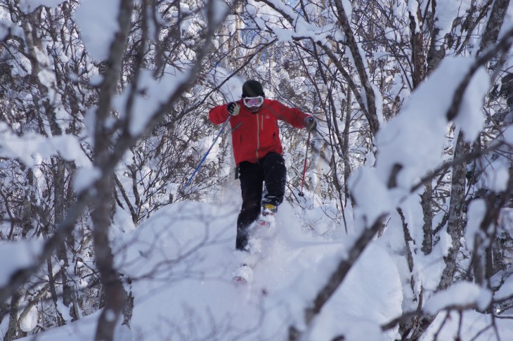 カムイスキーリンクス Soul Powder Ride in KAMUI