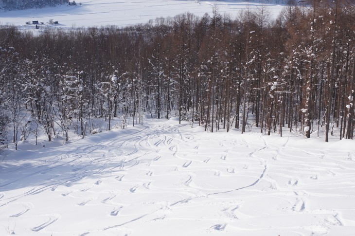 カムイスキーリンクス Soul Powder Ride in KAMUI