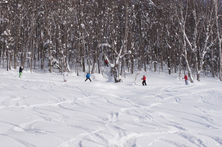 カムイスキーリンクス Soul Powder Ride in KAMUI