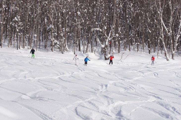 カムイスキーリンクス Soul Powder Ride in KAMUI