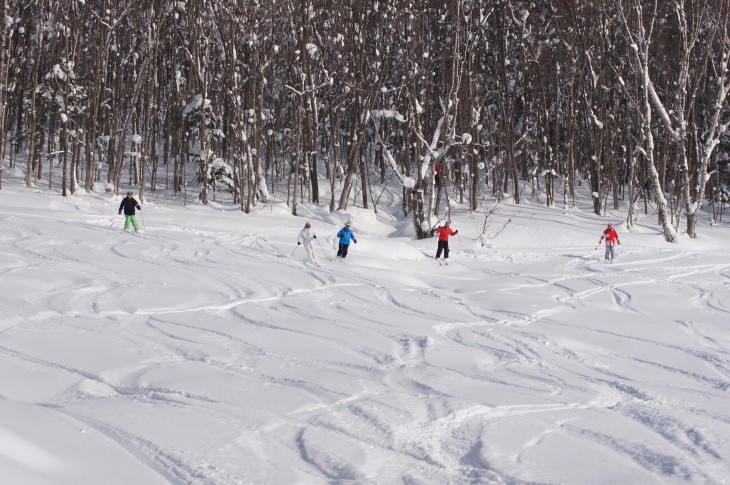 カムイスキーリンクス Soul Powder Ride in KAMUI