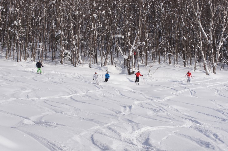 カムイスキーリンクス Soul Powder Ride in KAMUI