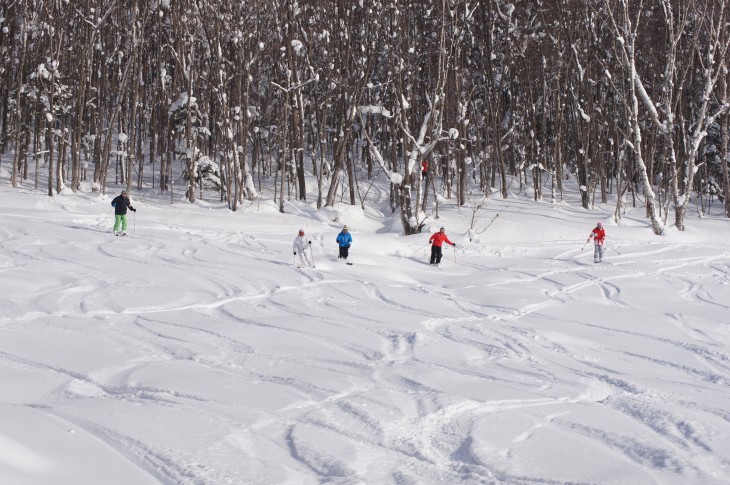 カムイスキーリンクス Soul Powder Ride in KAMUI