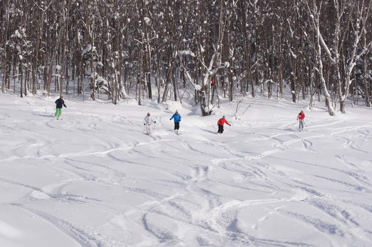 カムイスキーリンクス Soul Powder Ride in KAMUI