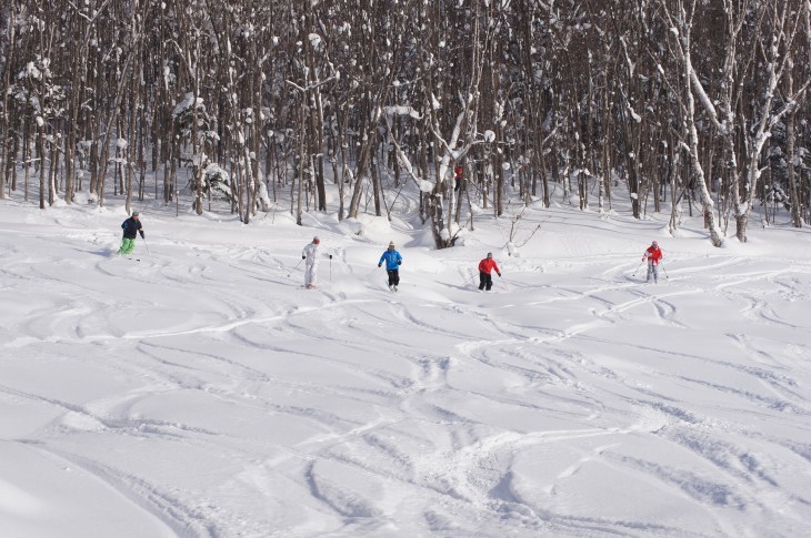 カムイスキーリンクス Soul Powder Ride in KAMUI