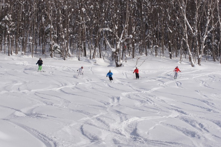 カムイスキーリンクス Soul Powder Ride in KAMUI