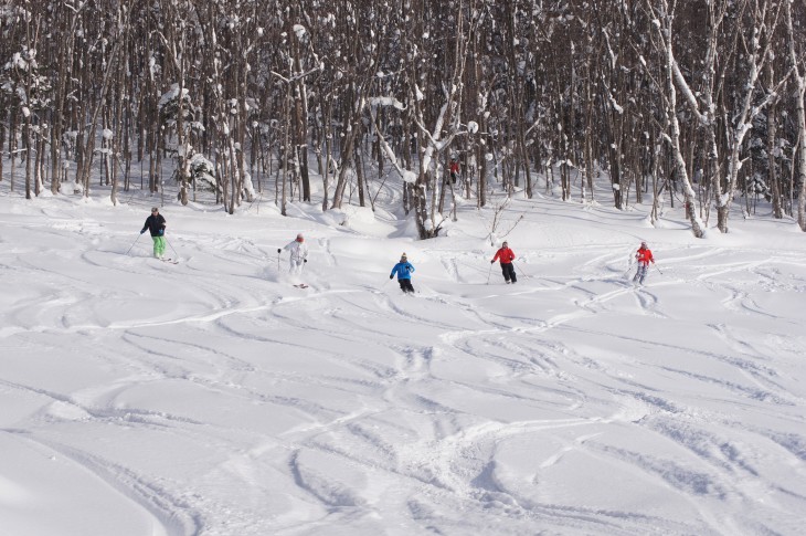 カムイスキーリンクス Soul Powder Ride in KAMUI