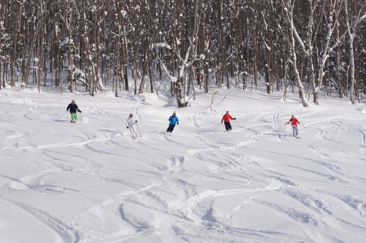 カムイスキーリンクス Soul Powder Ride in KAMUI