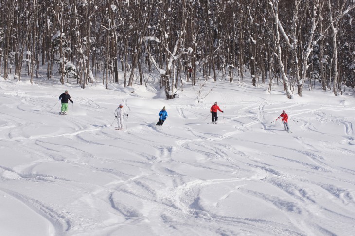 カムイスキーリンクス Soul Powder Ride in KAMUI