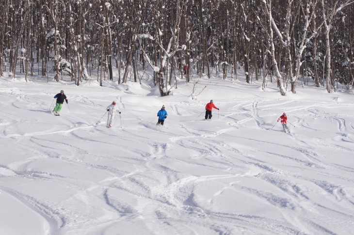 カムイスキーリンクス Soul Powder Ride in KAMUI