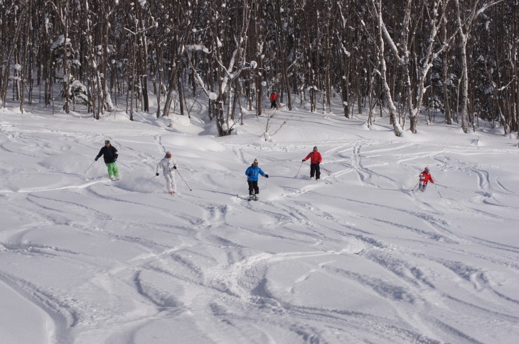 カムイスキーリンクス Soul Powder Ride in KAMUI