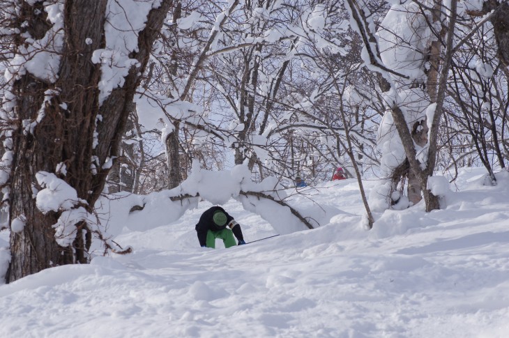 カムイスキーリンクス Soul Powder Ride in KAMUI