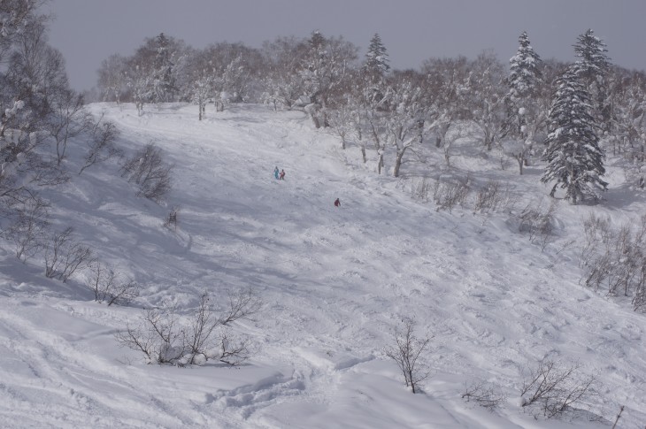 札幌国際 コース内で極上パウダーを堪能