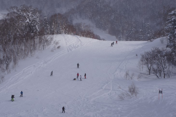 札幌国際 コース内で極上パウダーを堪能