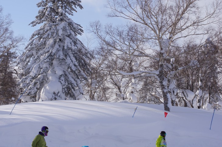 FURANO Beautiful Day.